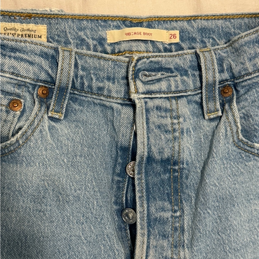 Levi - Ribcage - Picture 3 of 5